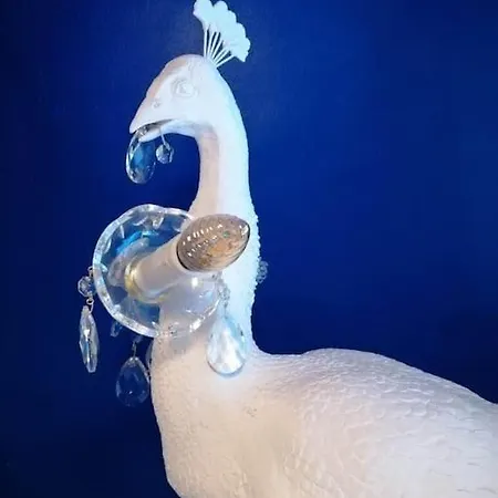 Les Petites Dieppoises - La Demeure De Peau D'ane *