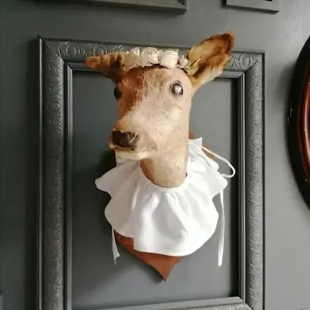 Les Petites Dieppoises - La Demeure De Peau D'ane Appartement Dieppe