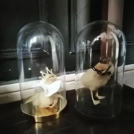 Les Petites Dieppoises - La Demeure De Peau D'ane Appartement